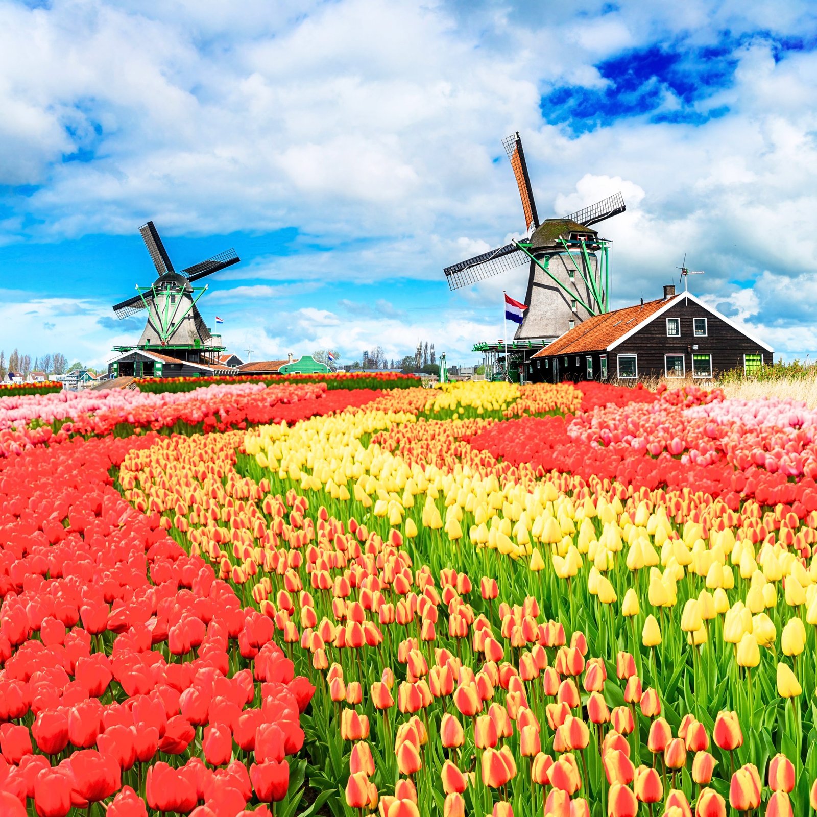 Botanical garden in Lisse Netherlands